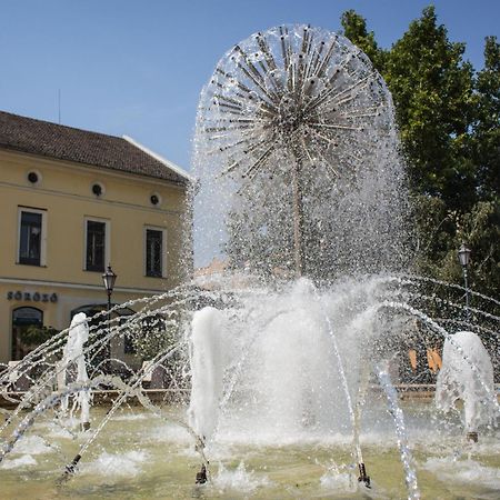 Апартаменты Marusius Apartmanhaz Мако Экстерьер фото